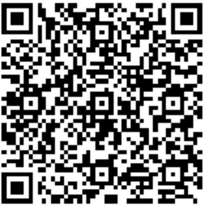Alisa Dudareva LinkedIn QR Code